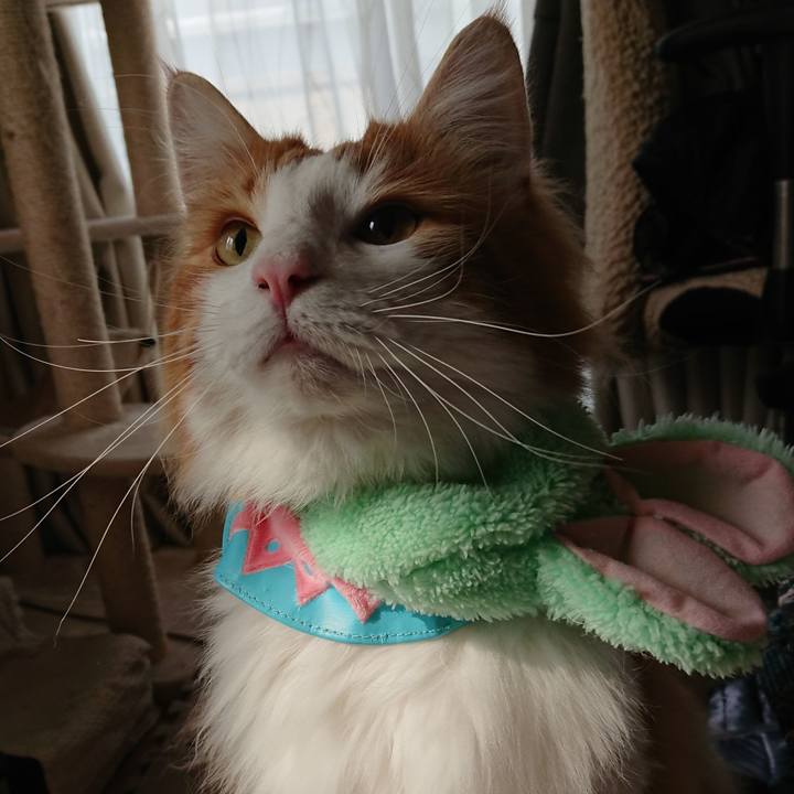 2f702d92 2862 4dc3 b131 e5d688b744fc 1522716873873