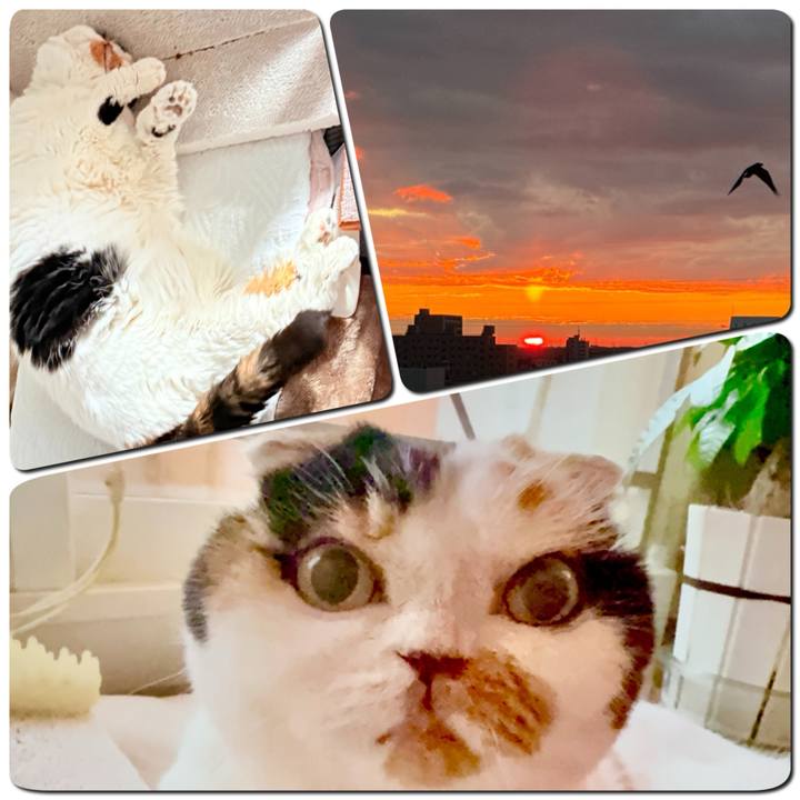 2f704433 193c 4a44 934a 477a9ad611c2 1763173192949