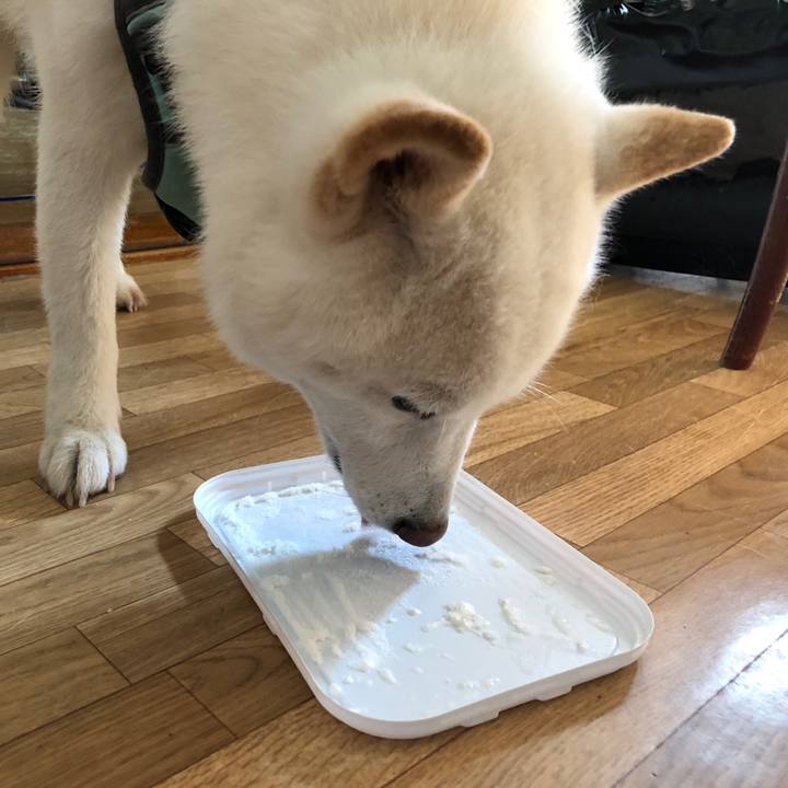 2f705efc 369a 4bb1 8f05 ed9250250fe5 1690207863583