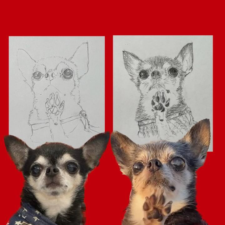 2f707f14 d2b8 4e78 99ac 0ec6e3a82861 1663793289929