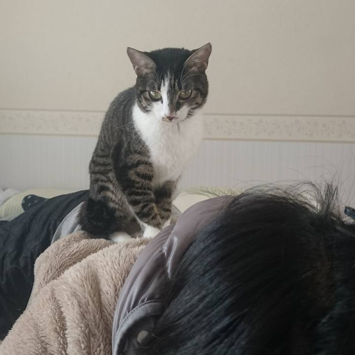 2f708311 e3d0 49f7 88e5 6cad684a00c0 1512791712489