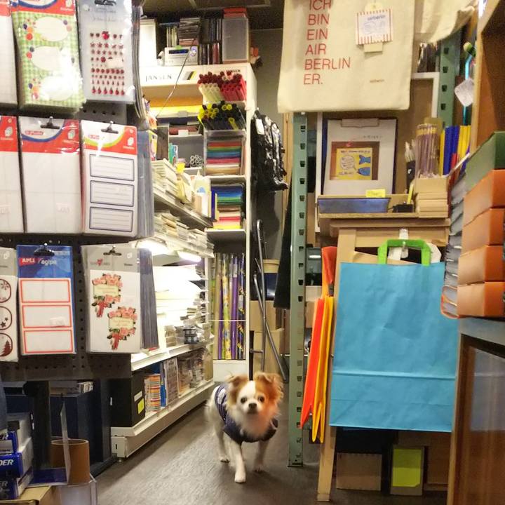 2f708b5a 7dcd 4fc4 bfa0 60f1490150c0 1542540131705