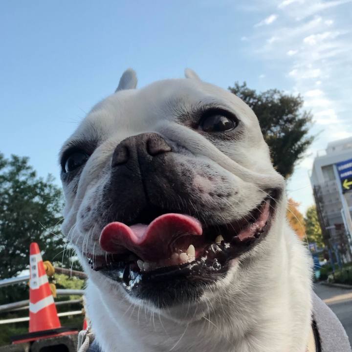 2f7095a2 5761 4d0b 9d34 5eae74a58eed 1635504493177