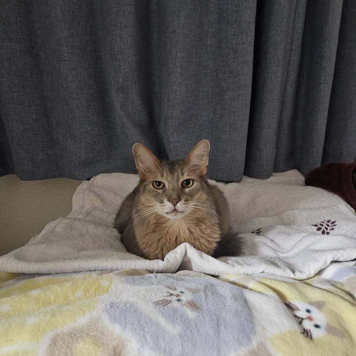 2f709f66 4e8d 4ece 83f6 829ce02a5d49 1713225100539