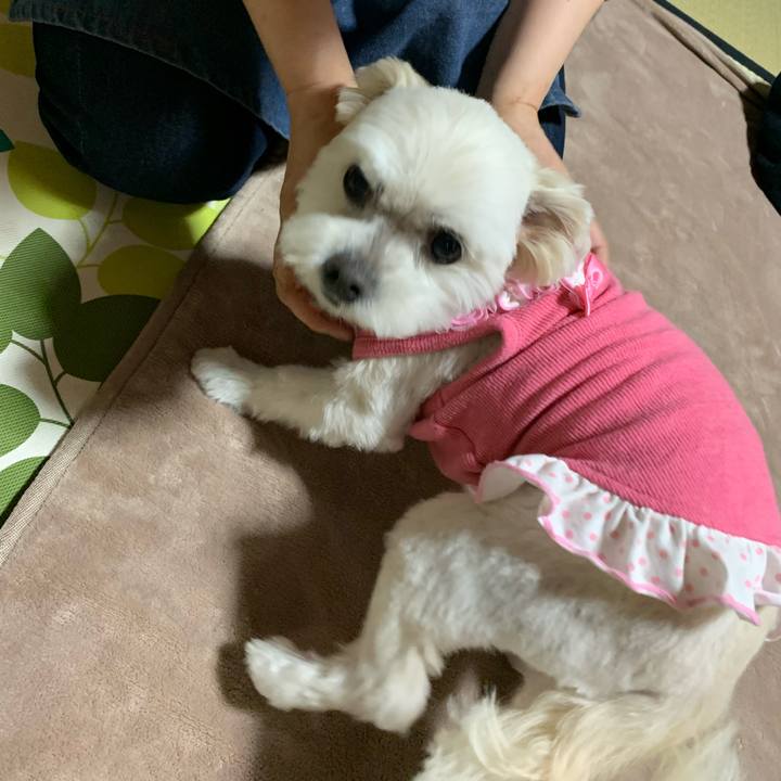 2f70a2ec da68 4117 9b4f b12b62ddb6b8 1647931304866