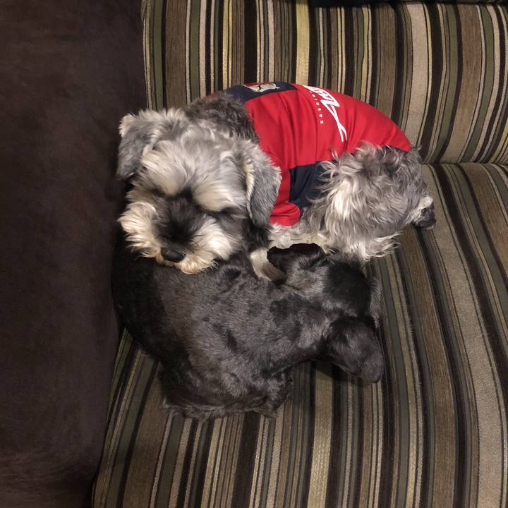 2f70ad30 f3ee 4850 8f67 7a0e3908115a 1519734624712