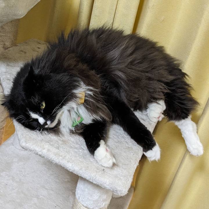 2f710dcd 18df 47fe 9ffc 7a463d5daede 1694672626325