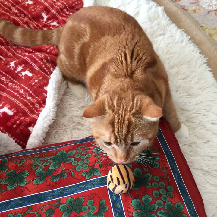 2f712439 6d60 44b5 93bb 58a711466e94 1519777004300