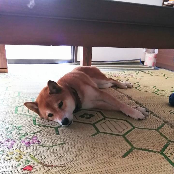 2f7139e9 69ae 4064 b305 27d3b5d2658e 1620616171409