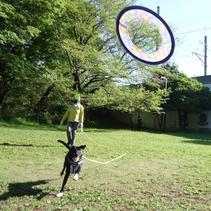 2f713c0d 13a5 4521 ac0d 7bb49a5693ed 1618451877869