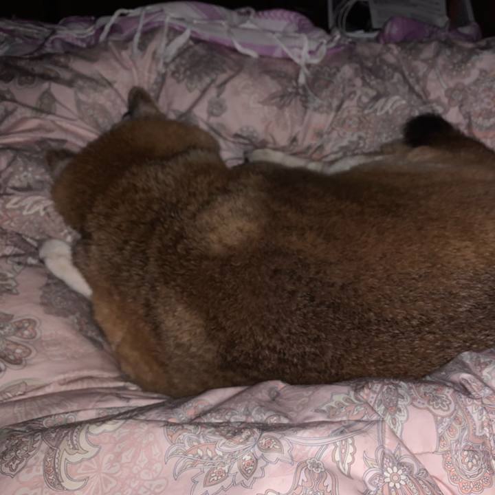 2f714898 89c2 4df1 baca a0b0056373f1 1644535225175