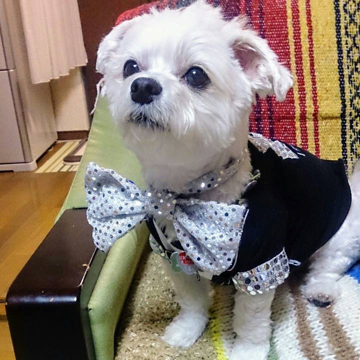 2f71562e 9f88 4675 9c8b 3a8229ec2263 1520937031515