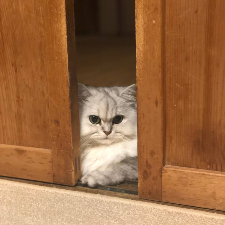 2f71594e f51c 4057 bd2d 18461ca1d4ea 1569995324682