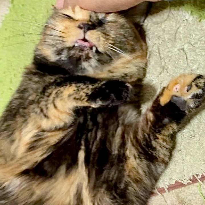 2f716c48 21e8 4dc2 8ad4 48438bc44875 1754169775389