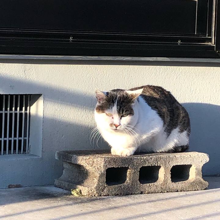 2f716ffd a374 4db2 860c 48c4df25010e 1643879588812