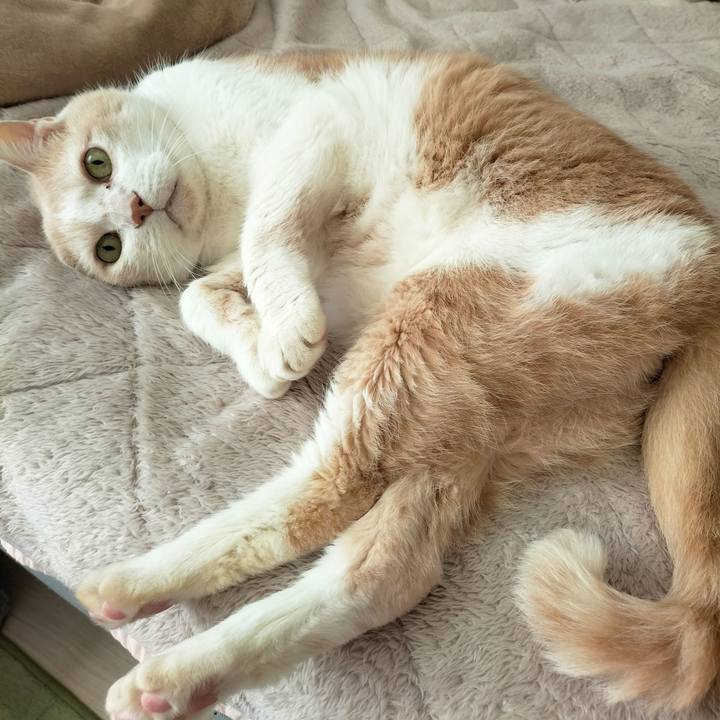 2f71733f f1fc 4e21 8d82 f2459aff8c26 1670628938930