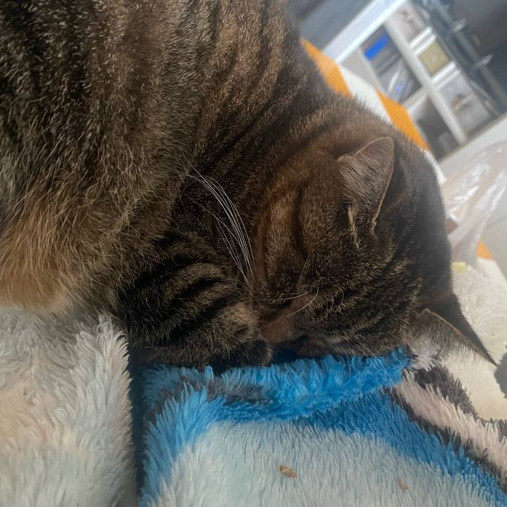 2f71c453 111b 4452 829f 180c93fc2e1c 1699671449573