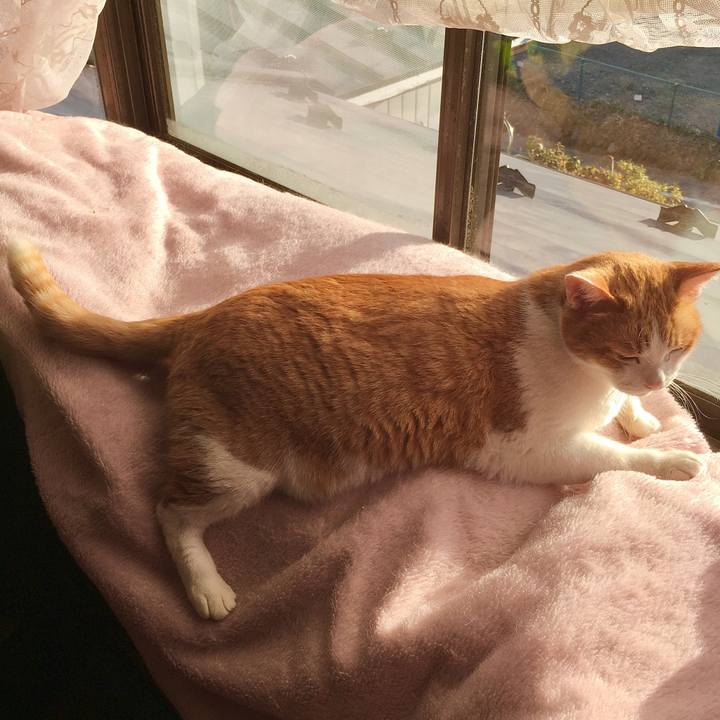 2f7216e7 c444 41f9 9e3c 1b9f71b934dc 1575357307064