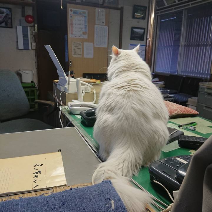 2f722547 faac 43a2 8790 ea8fdea66c47 1572573004803