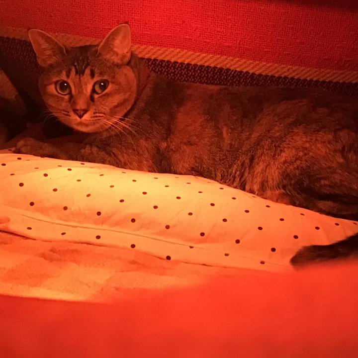 2f72b496 a7e6 4c51 a227 2b684ee86c19 1611487483902