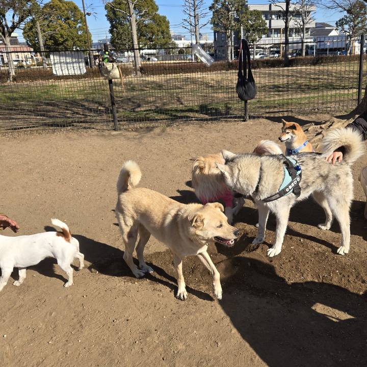 2f736ab8 8069 463d adb2 608043b29ecc 1769259849446