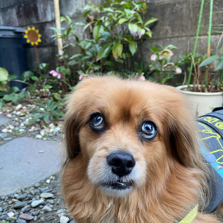 2f73707a 208f 4bf5 9e84 7370d06e8753 1615326651177