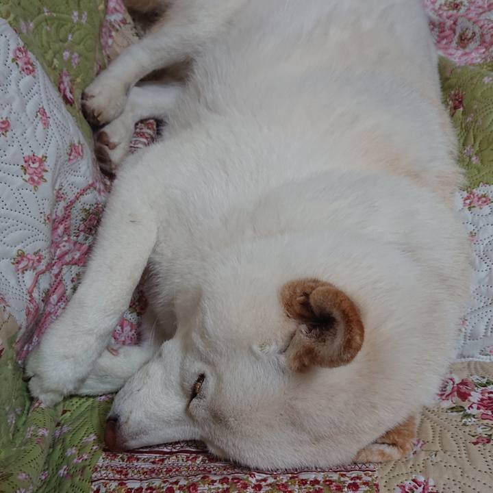 2f739573 0952 4b70 bc41 0f13b27a9e06 1584623150557