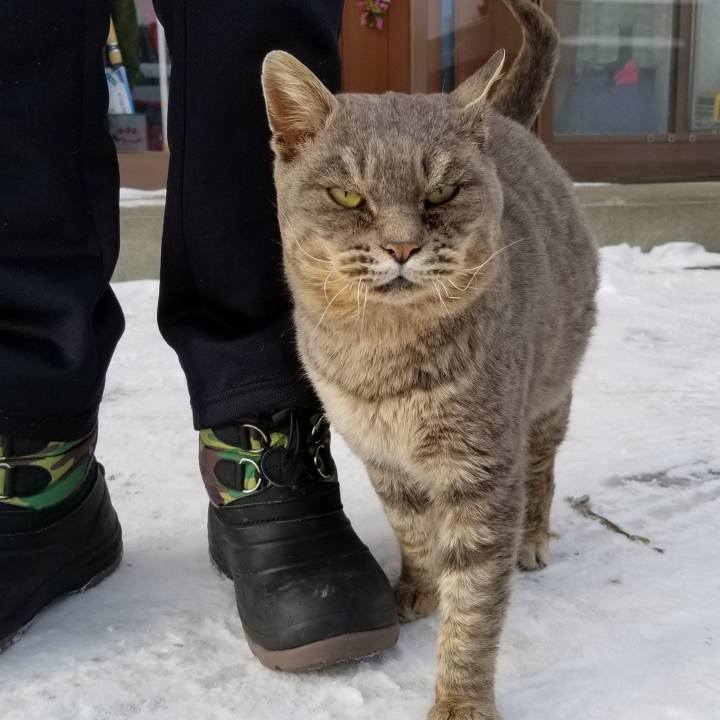 2f73a77f f3fa 4552 84dd 36b8df561c04 1547538800363