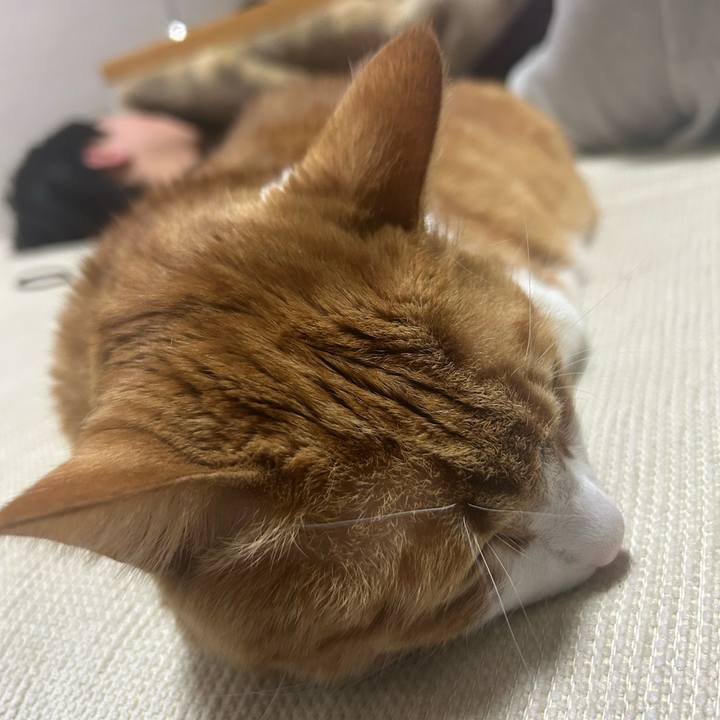 2f73aa88 3830 48d0 8d9f f8741e07253d 1771845161079