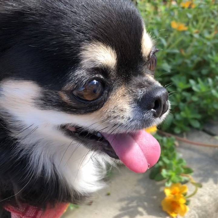 2f73ffb3 7270 4cb4 ad4f 9942a5384828 1599696051638