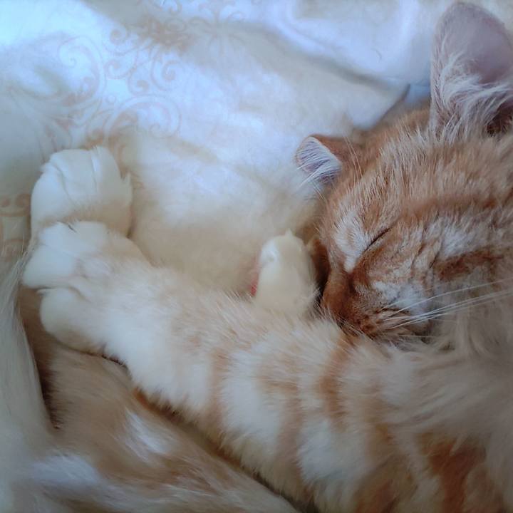 2f742ba4 02bb 42bc 9780 a571e2a9dd23 1715304345191