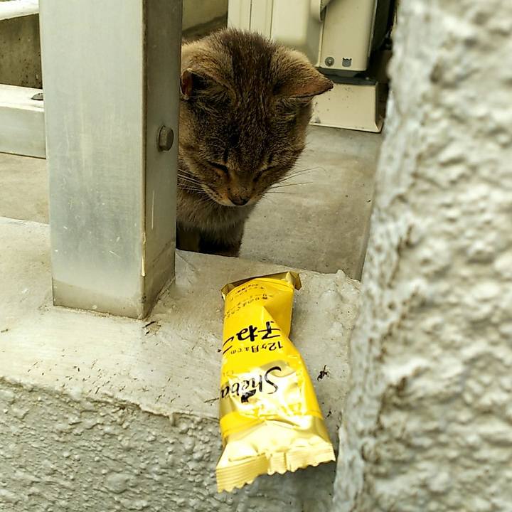 2f743041 6069 4bae a85f 3faa39ca1cc9 1524645495031