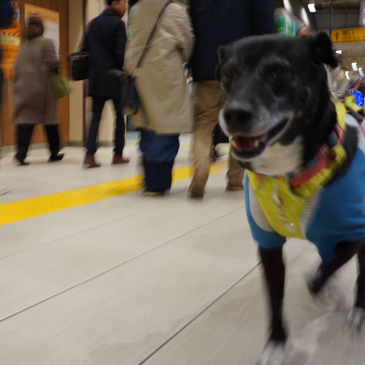 2f7454db 1a72 4a13 826e af429563ac98 1771074530828