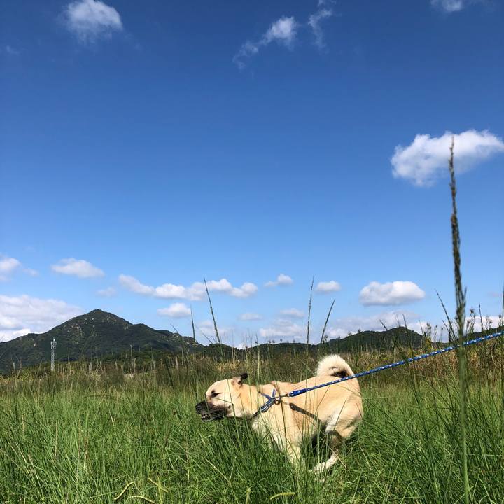 2f7464d2 6929 4c97 8242 3f7a63add28a 1538968255828