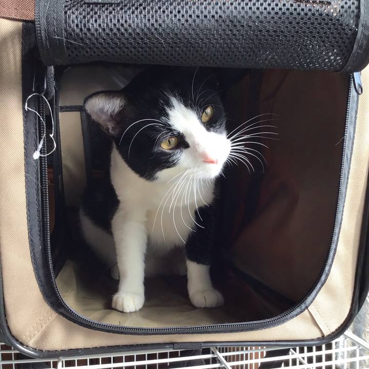 2f746e49 5026 4bdb 8251 8dbc2c60090f 1644645759036