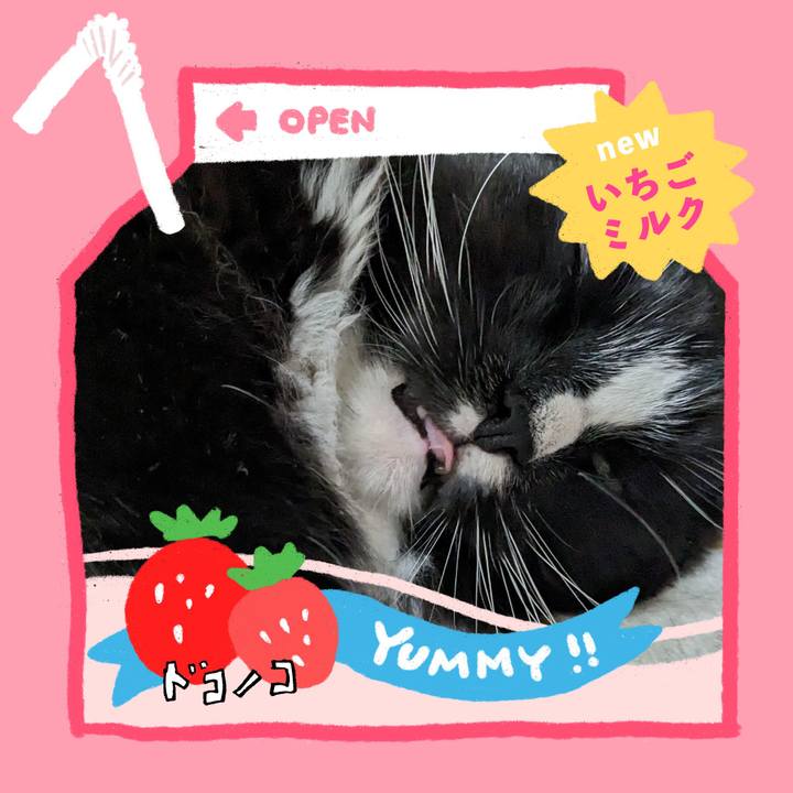 2f747d73 924e 4165 9129 0ccc5843becf 1711014535902