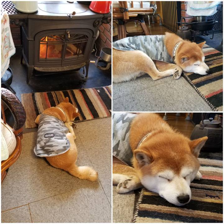 2f749bbf e13d 443e 987e 08f49a52c0ff 1614552094154