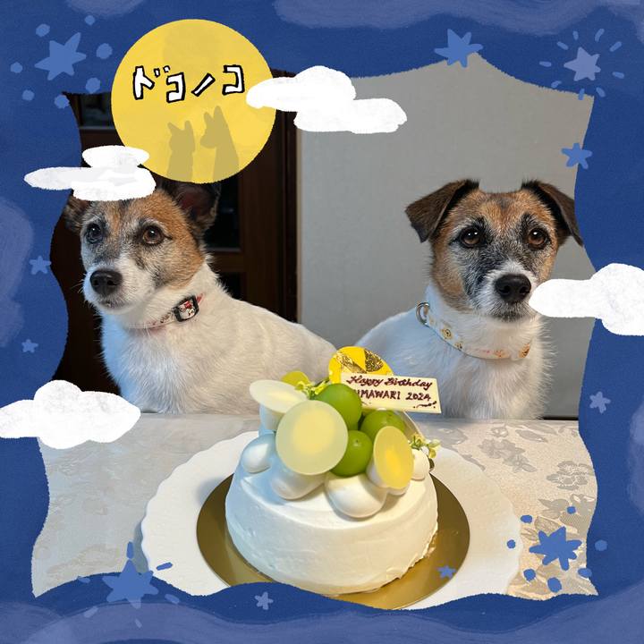 2f74e1c4 db75 44c4 907b 8d1818b28134 1726825400226