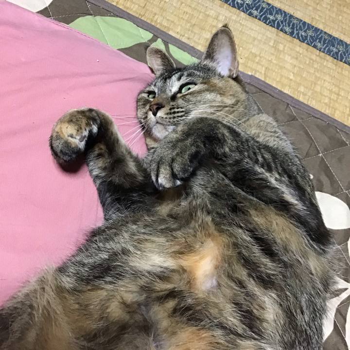 2f74ee41 fd6a 4c17 9260 b1f2ebc6bf05 1673612761378