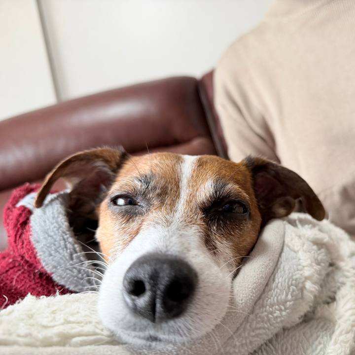 2f75047c e84d 4d6d 94f8 5d02b576f5c1 1766461900540