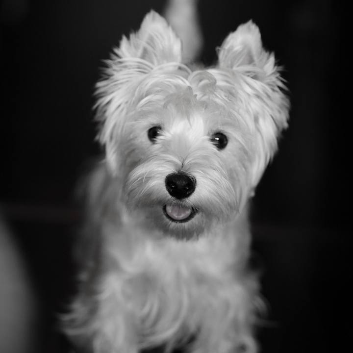 2f750b77 1e00 44a0 bd86 17defc4f1c62 1533902158630