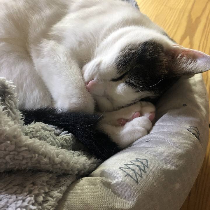 2f751f59 bdf4 4cd3 8410 775fb905559f 1692362423520