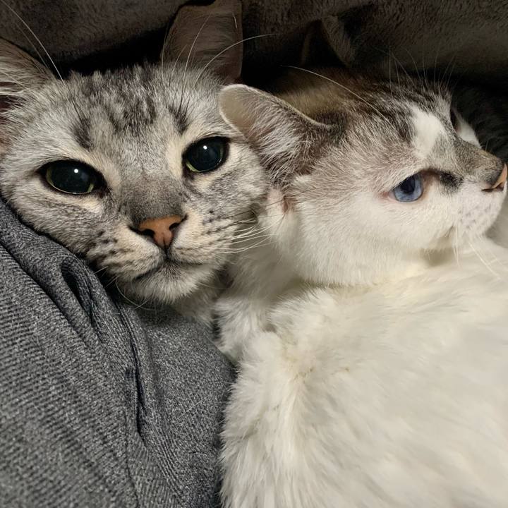 2f75412c 8d66 4ea0 a87d b5a543a5a82b 1670418638588