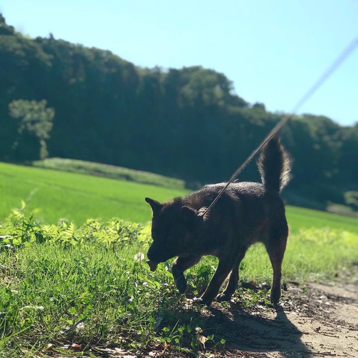 2f7552b0 6df3 46ca b2f0 106749c98d33 1531091747801