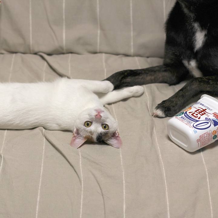 2f757774 9bb0 4692 84d9 1a521e2f6dd3 1554946669477