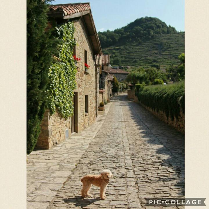 2f759c99 6d74 491a 98bc 1158cbf85476 1560959266677