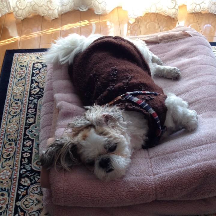 2f75c158 4da6 4e7f a58a f8400d403bf1 1510522155197