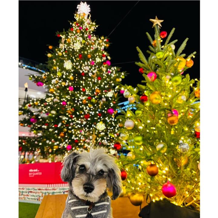 2f7610ac aaf0 4a83 bbb6 58aa31c52f4e 1762435184392