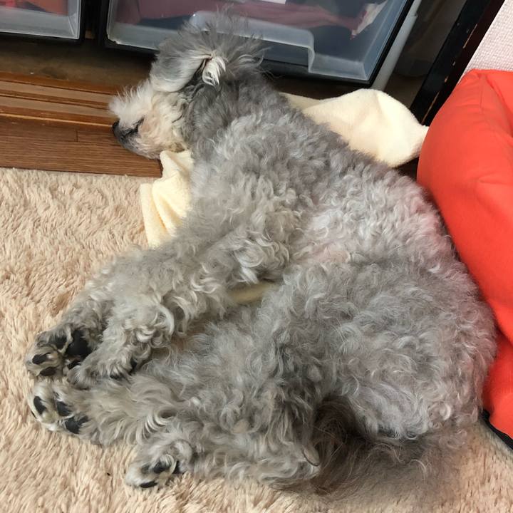 2f7623c5 1553 41bd 972b 1703b00ed877 1556352293497