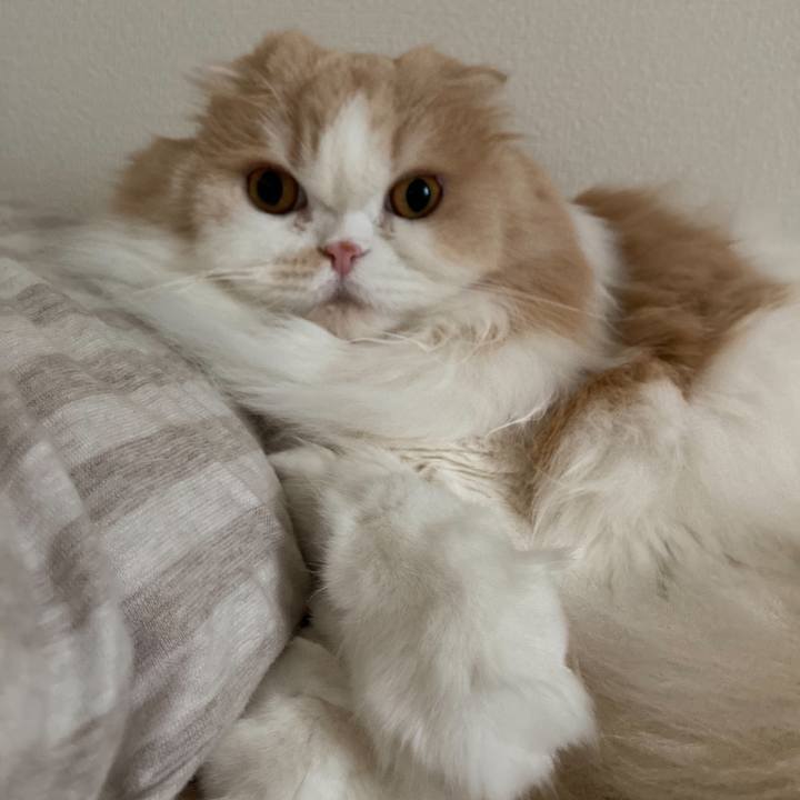 2f762f37 2f3c 426b 92f2 524ed52580b2 1608950547738